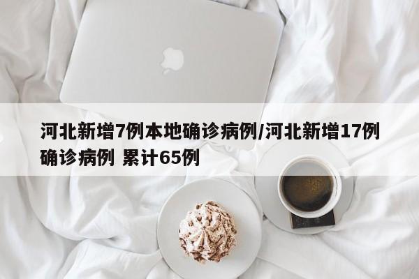 河北新增7例本地确诊病例/河北新增17例确诊病例 累计65例