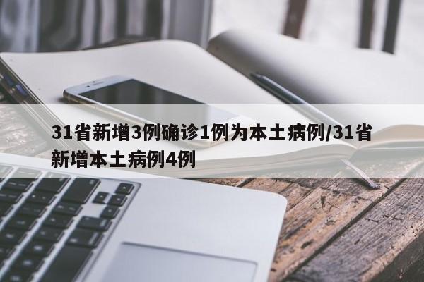 31省新增3例确诊1例为本土病例/31省新增本土病例4例