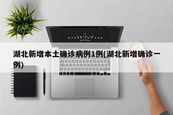 湖北新增本土确诊病例1例(湖北新增确诊一例)