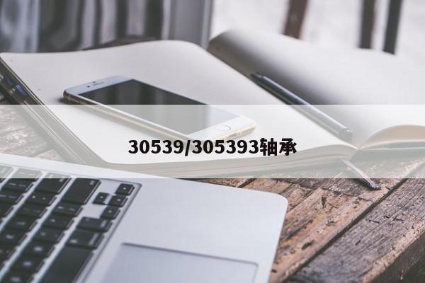 30539/305393轴承