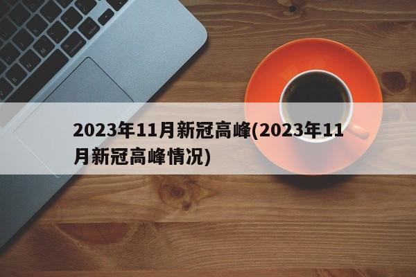 2023年11月新冠高峰(2023年11月新冠高峰情况)