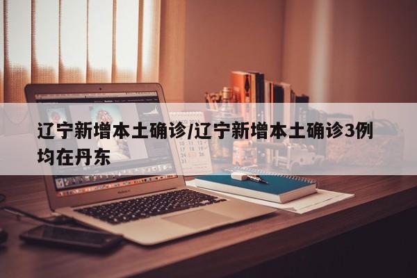 辽宁新增本土确诊/辽宁新增本土确诊3例 均在丹东