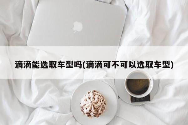 滴滴能选取车型吗(滴滴可不可以选取车型)