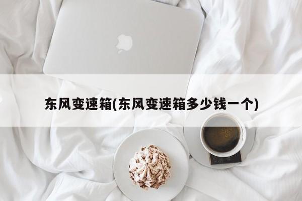 东风变速箱(东风变速箱多少钱一个)