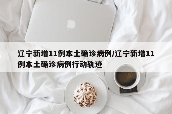 辽宁新增11例本土确诊病例/辽宁新增11例本土确诊病例行动轨迹