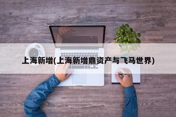 上海新增(上海新增鼎资产与飞马世界)
