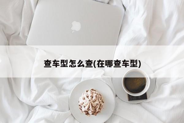 查车型怎么查(在哪查车型)