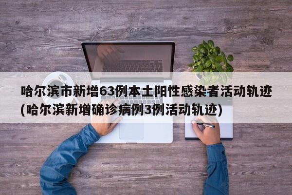 哈尔滨市新增63例本土阳性感染者活动轨迹(哈尔滨新增确诊病例3例活动轨迹)