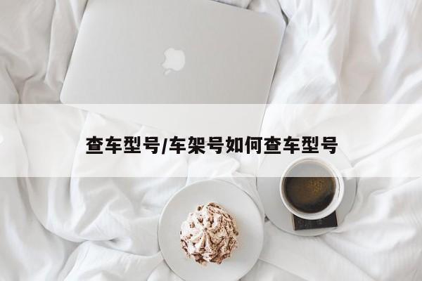 查车型号/车架号如何查车型号