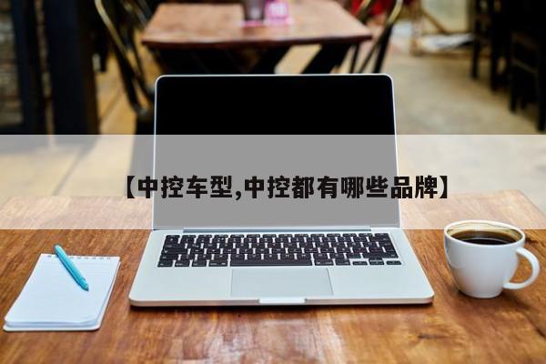 【中控车型,中控都有哪些品牌】