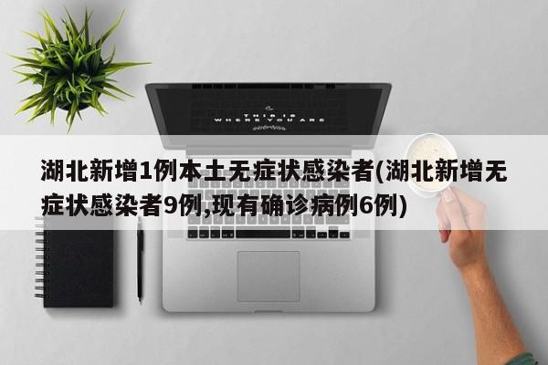 湖北新增1例本土无症状感染者(湖北新增无症状感染者9例,现有确诊病例6例)